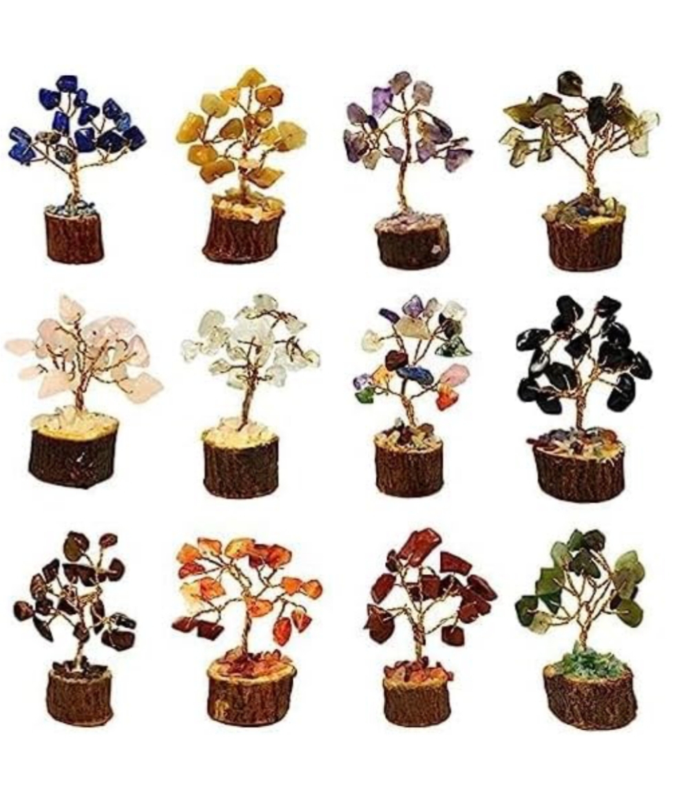 IMG 20260131 141816 IMG 20260131 141816